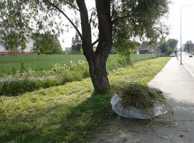 Naljakalt trimmerdatud maa-ala, mis loodetavasti peaks varsti korras olema. FOTO: Aigar Nagel