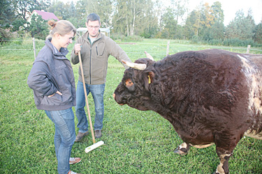 Lennart Moller koos oma elukaaslase Henriette Keuffeliga Tartumaal Issaku külas pulli karjatamas. Foto: INNO TÄHISMAA