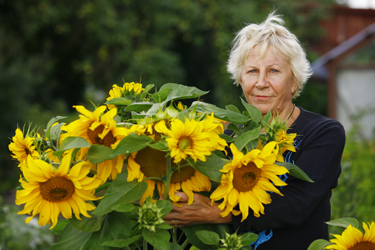 Perenaine Hele-Maie Pille oma paljuõielise päevalillega.    Foto: ANDREI JAVNAŠAN