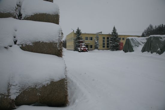 Vaade põhubriketitehase tootmishoonele ja hoovi kogutud põhupallidele kaks aastat tagasi, mil briketitehas Antslas tegevust alustas. Foto: INNO TÄHISMAA