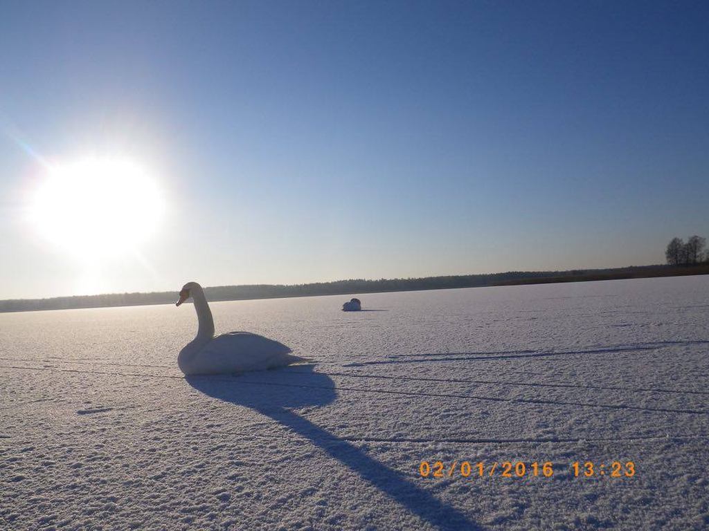 Tamula järv FOTO: Rainer Sosi