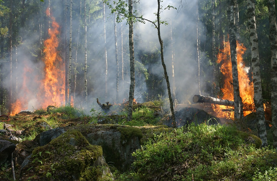 Võrumaa Teataja