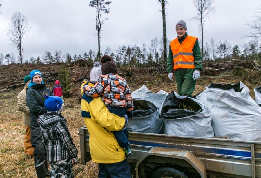 Võrumaa metsaühistu tegevjuht Erki Sok (esiplaanil) Uuri kinnistul. FOTO: VT