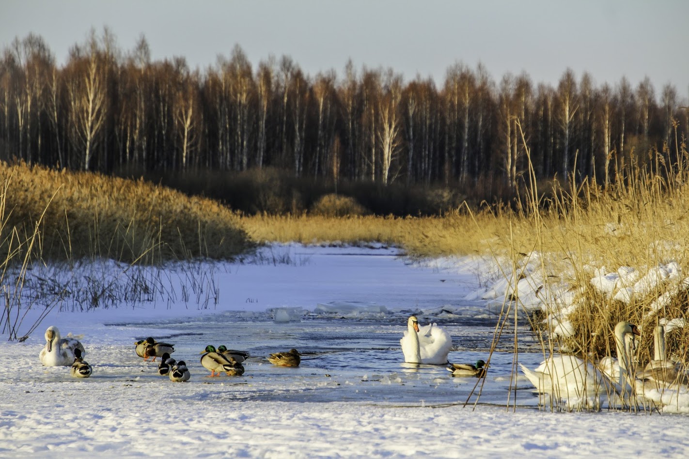 FOTO: Aigar Nagel