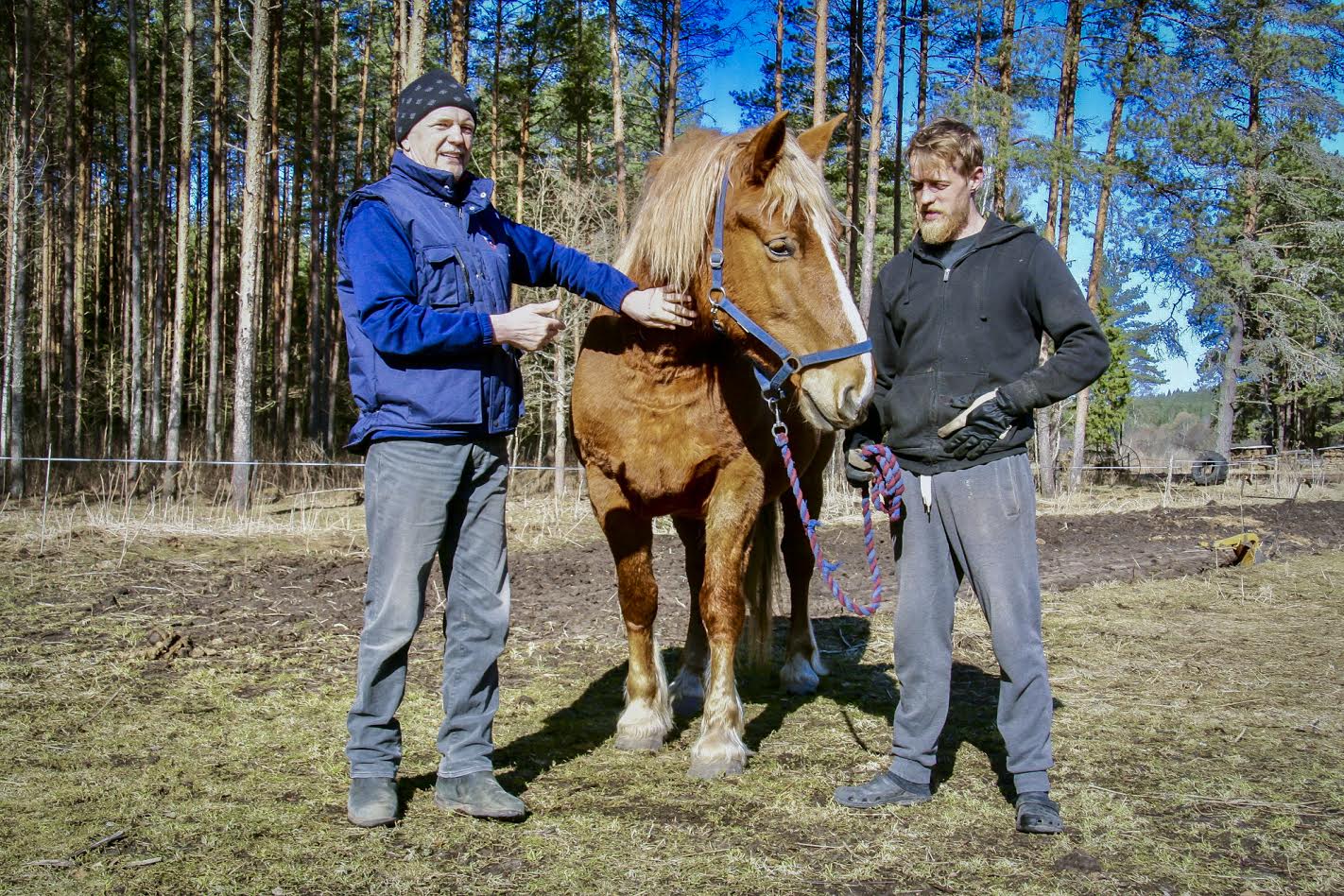 Kalev Raudsepp (vasakult), Kemmi ja Raul Tiit. Taamal paremal kollakas hobuader. Fotod: VÕRUMAA TEATAJA