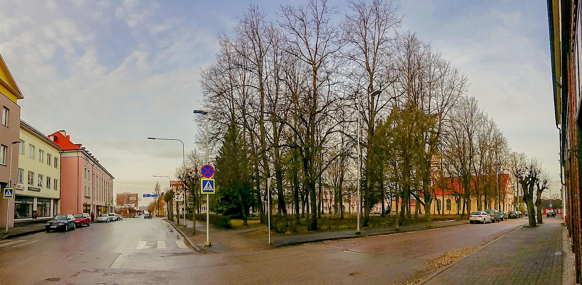 Võru uue keskväljaku ettevalmistustöödega alustatakse uuel nädalal. Raadamistööde käigus eemaldatakse enamik kõrghaljastusest. Foto: AIGAR NAGEL