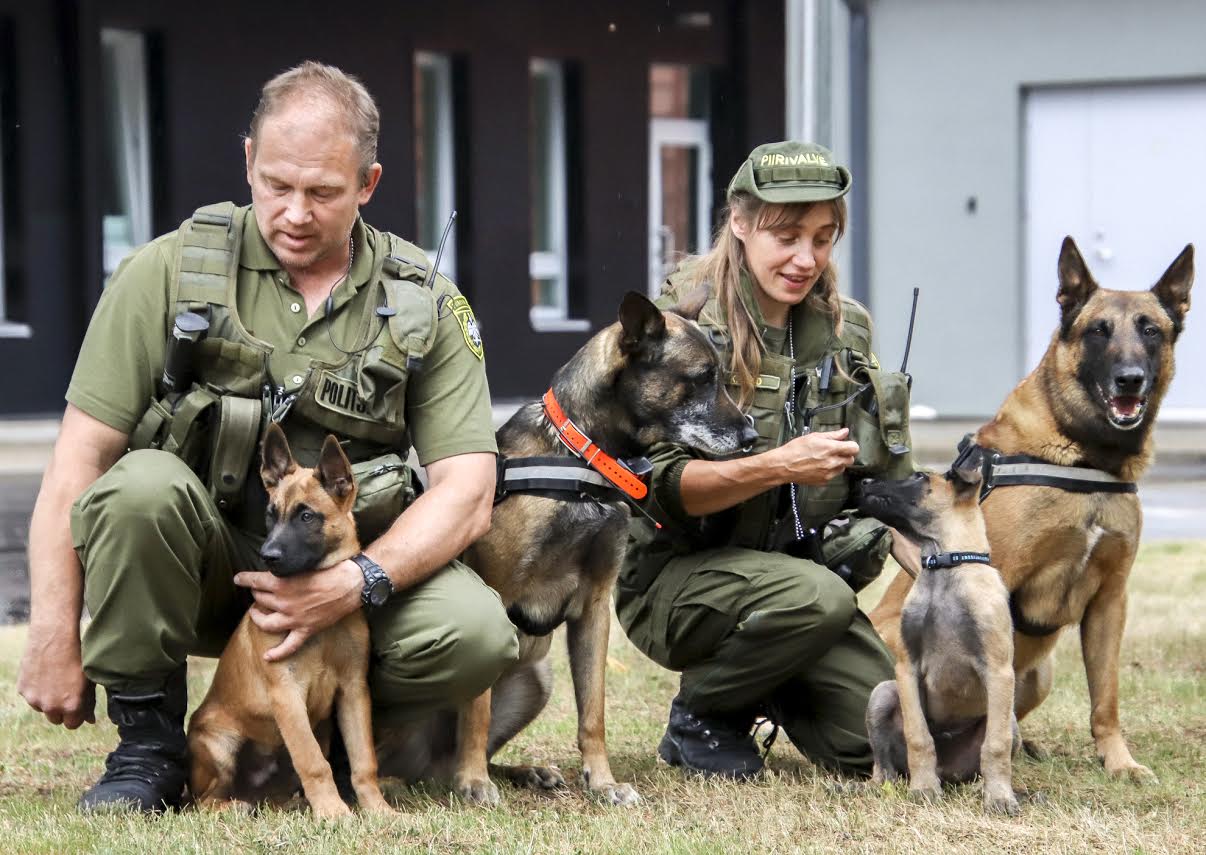 Piirivalvurite perekond sai koerajuhtidena täiendust kahe piirivalvekutsikaga. Piirivalvurite peres kasvavad ka kogemustega teenistuskoerad Felix ja Aron. Foto: AIGAR NAGEL