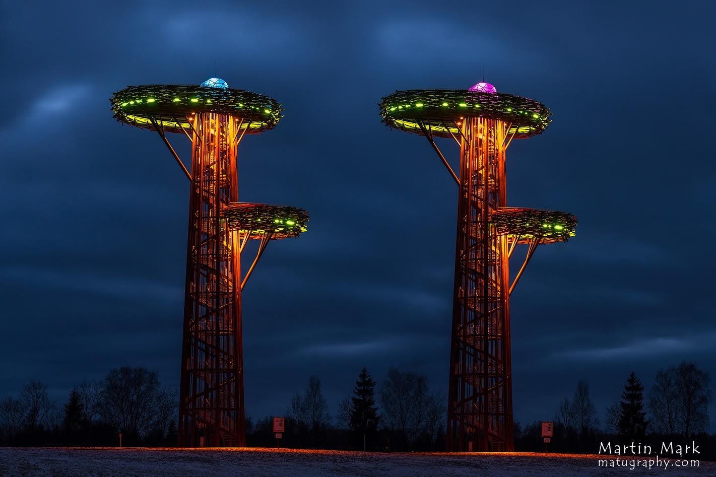 Esimesel poolaastal on Pesapuu tornis roosa muna süttinud üheksal ja sinine muna 12 korral. Foto: MARTIN MARK