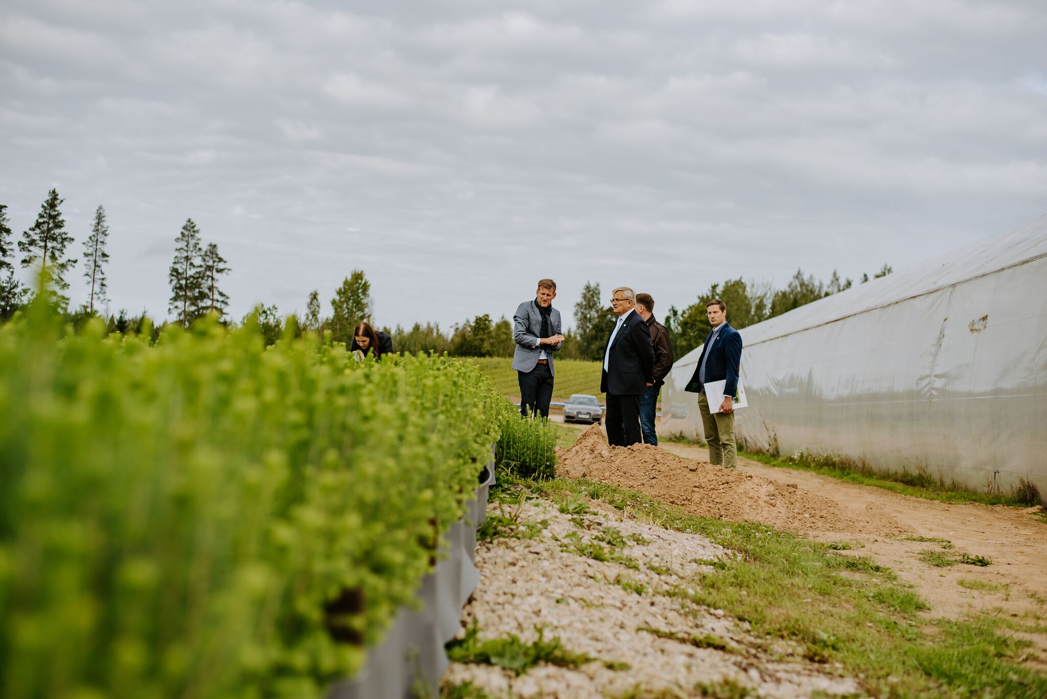 Forestplanter 20. Fotod Katrin Kais