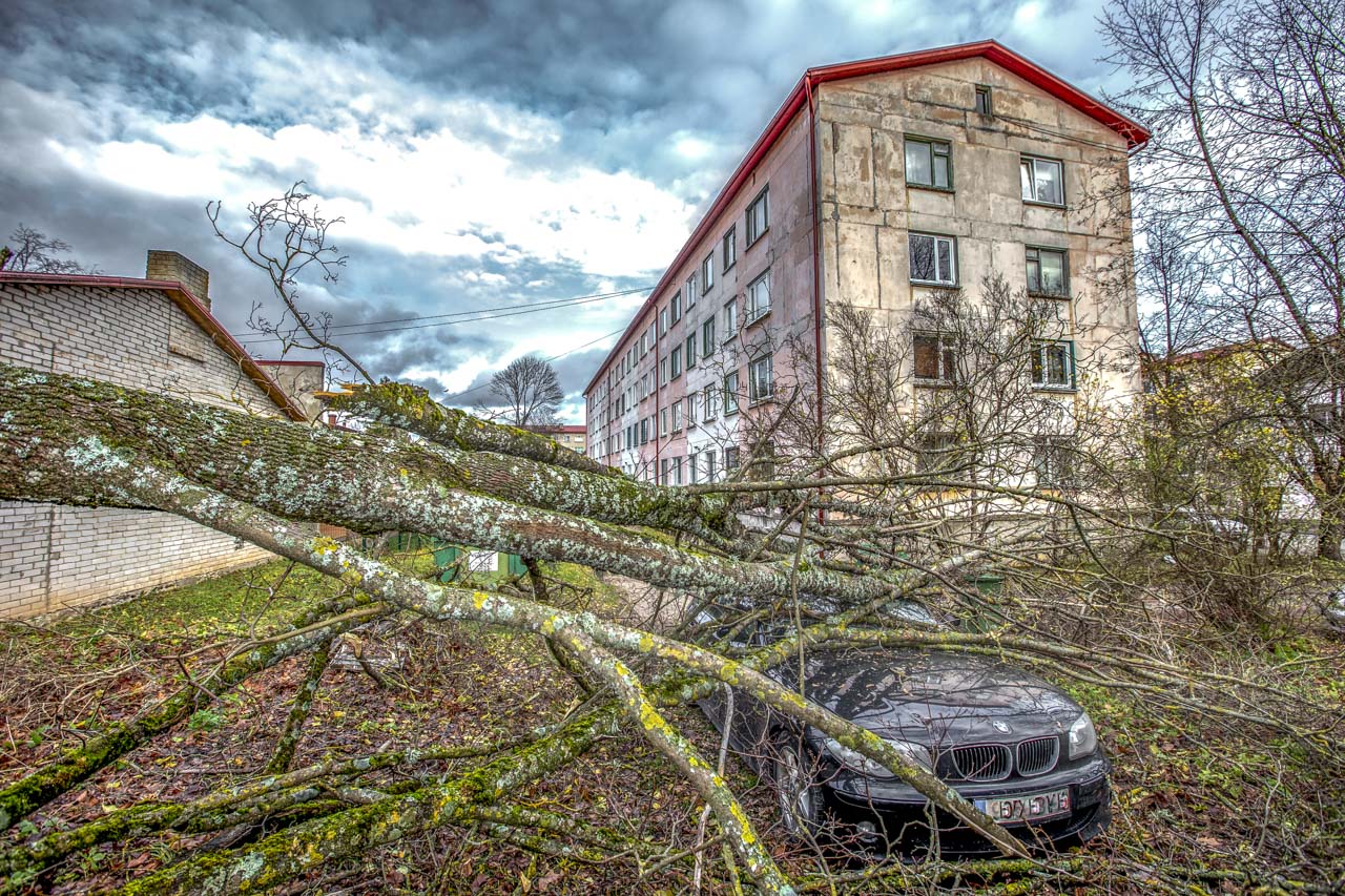 Tormituulte karmi kätt sai tunda ka see pisike BMW, mille peale murdus Võru linnas üks puu. Kahjuks polnud autol kaskokindlustust ning remont läheks auto väärtusest kallimaks, seega läheb 3000eurone auto mahakandmisele. Auto omanik ise nägi aknast, kui puu murdus ja auto enda alla mattis. Fotod: AIGAR NAGEL