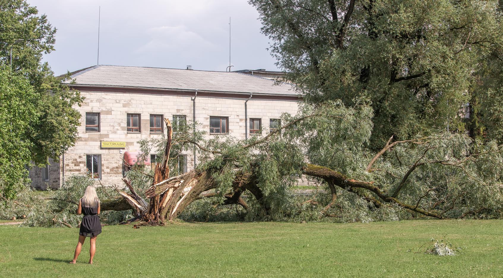 Äikesega kaasnenud tugev tuul murdis Juudi pargis vähemalt neli puud. Foto: AIGAR NAGEL