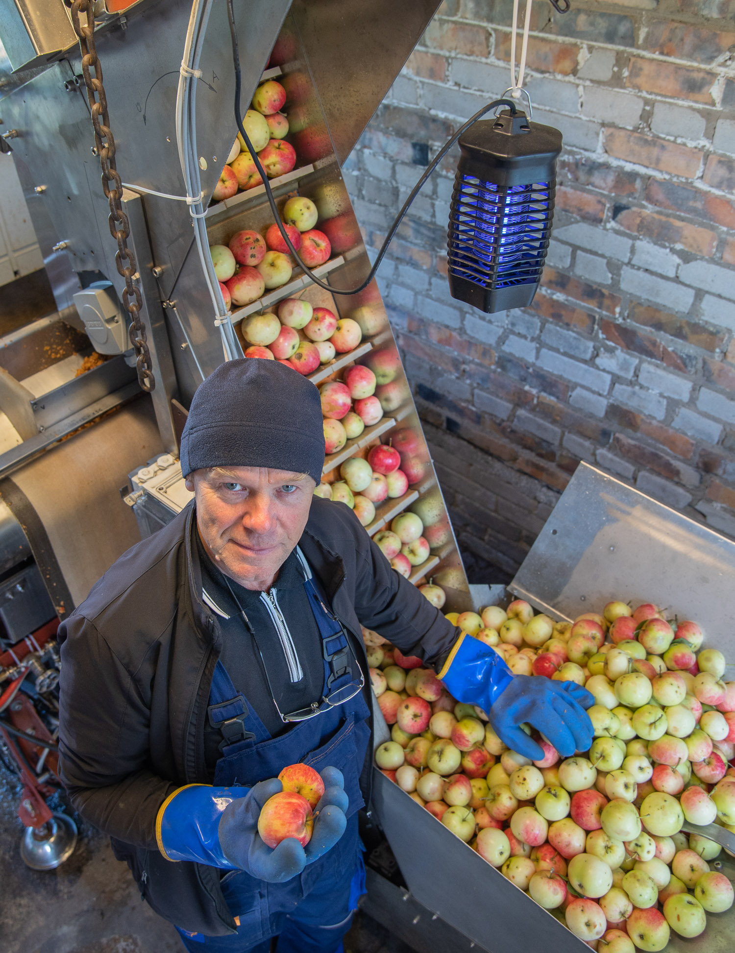 Viiendat aastat Võrumõisa teel õunamahla pressimist pakkuv Piiri talu peremees Ilmar Saar  annab teada, et väärt janukustutajat hakkasid nad taas valmistama juba augusti teisest pühapäevast. Foto: AIGAR NAGEL