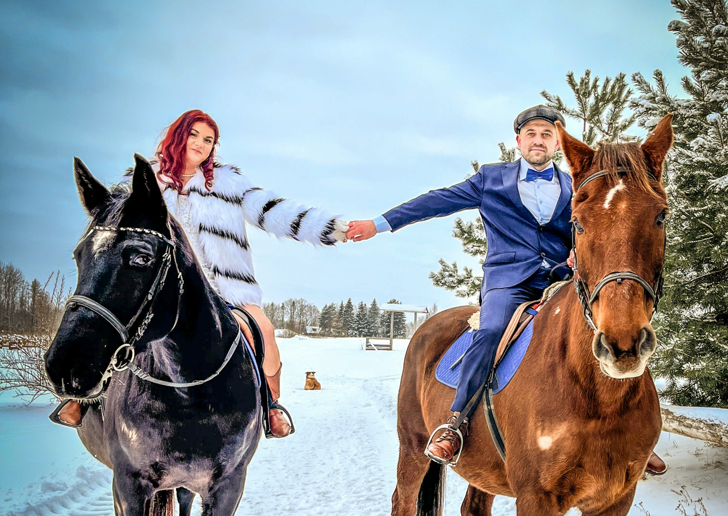 Tartlaste Raido ja Gerli Sadama  2.02.2022 sõlmitud abieluliit sai fotole jäädvustatud Tartumaal  Sirgul Urmas Saksa ratsakoolis.  Foto: KÄTLIN RIIVIK