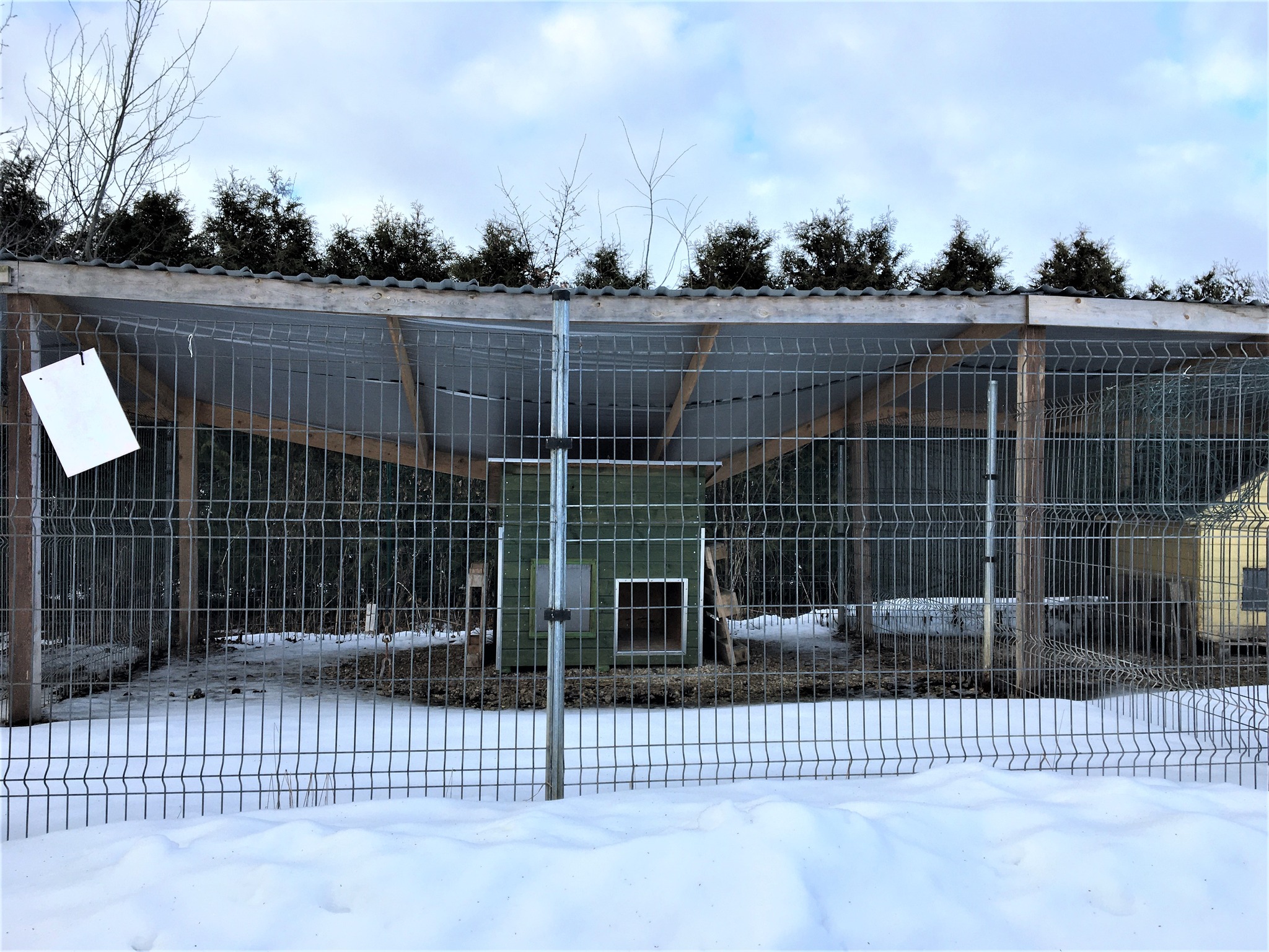 Võru loomade varjupaigas vajus sisse 2019. aastal ehitatud koerte väliaediku varikatus. Foto: ERAKOGU