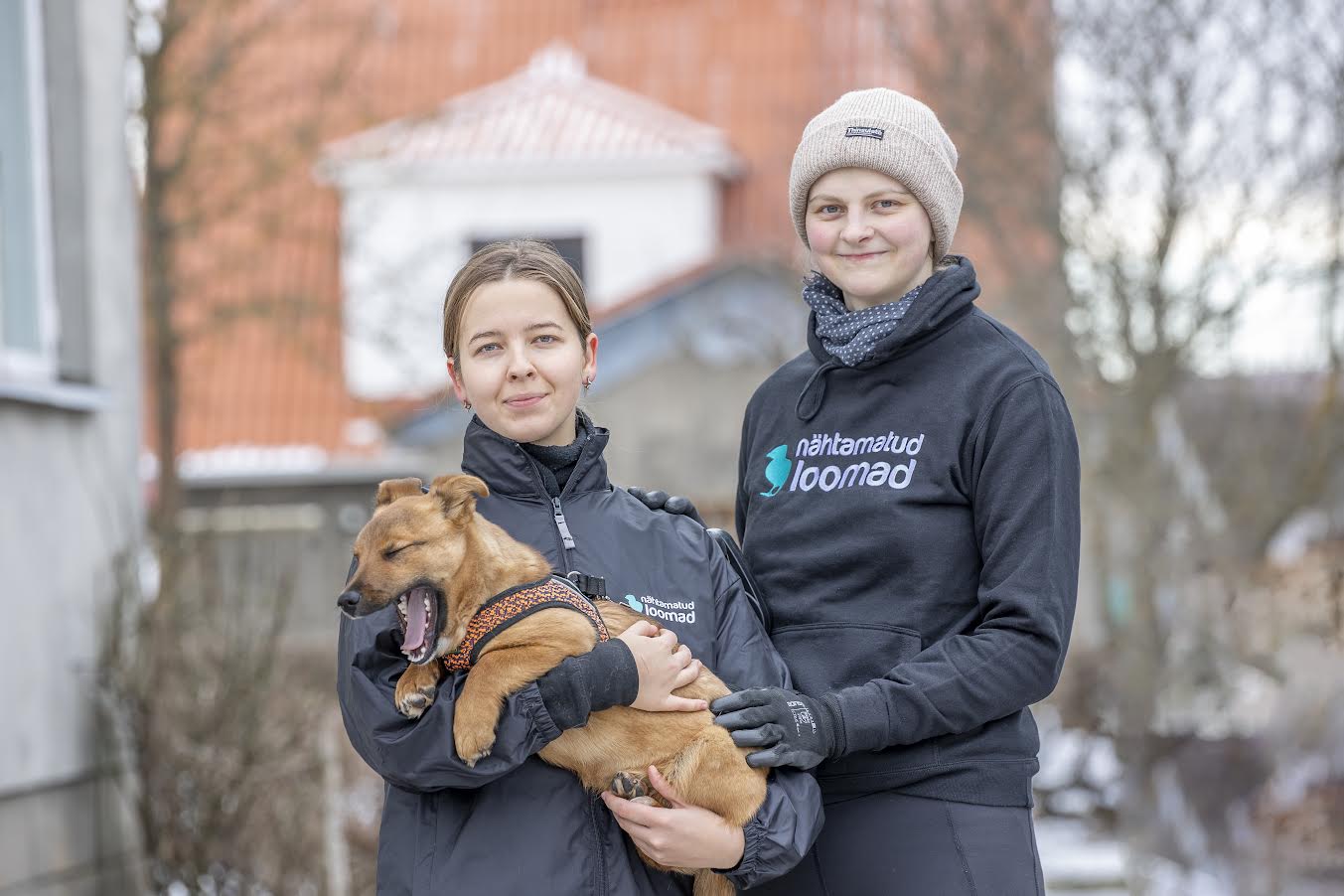 Nähtamatute Loomade tarbijateadlikkuse koordinaator Brigitta Nõmmik (vasakul) pakub Võrus ajutist kodu kuuele Ukraina sõjakoldest päästetud koerale. Fotol koos vabatahtliku Tiina Lainestega. Süles Ukrainast teisipäeval Võrru jõudnud kutsikas, kellel praegu veel nimi puudub. Foto: AIGAR NAGEL