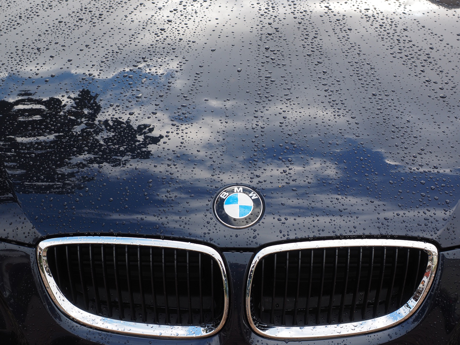 Liikluskindlustuspetturid on pahatihti BMW-juhid FOTO: Pixabay
