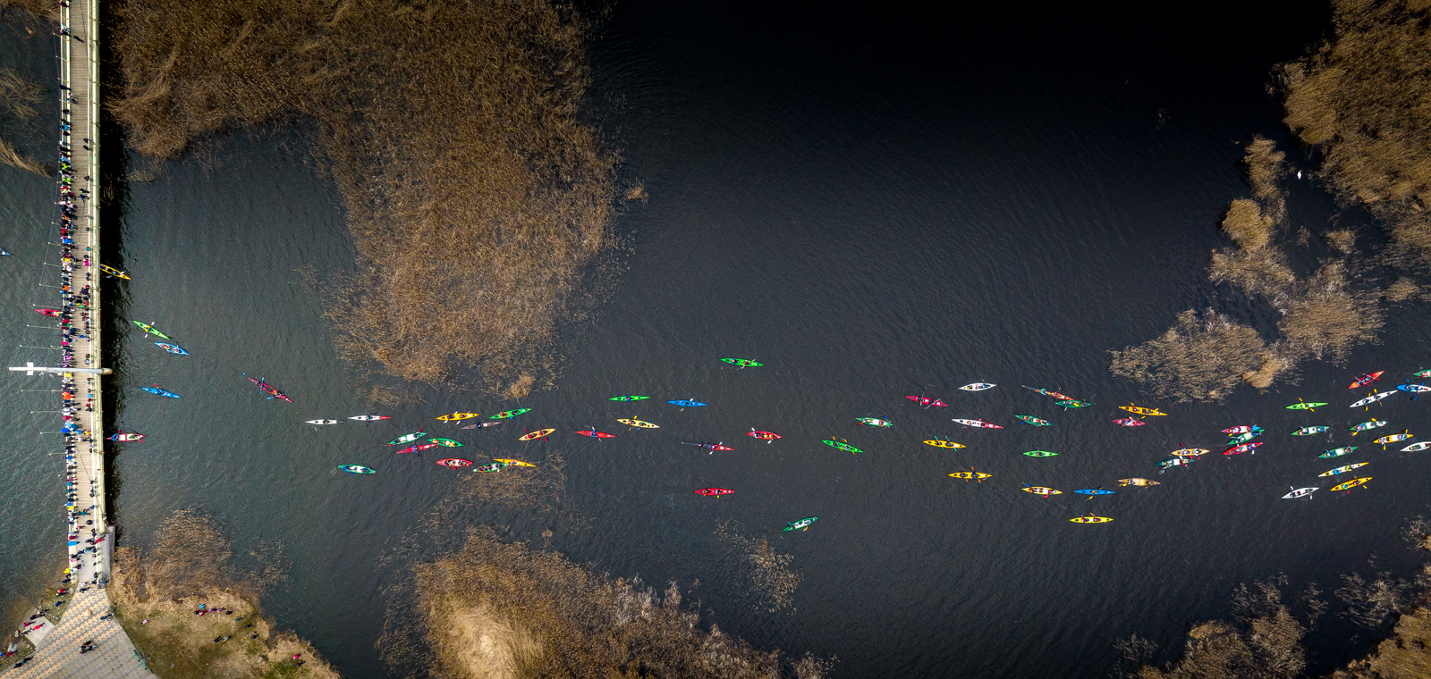 Laupäeva varahommikul startis Tamula järvelt taas maailma populaarseim aerutamismaraton FOTOD: Aigar Nagel
