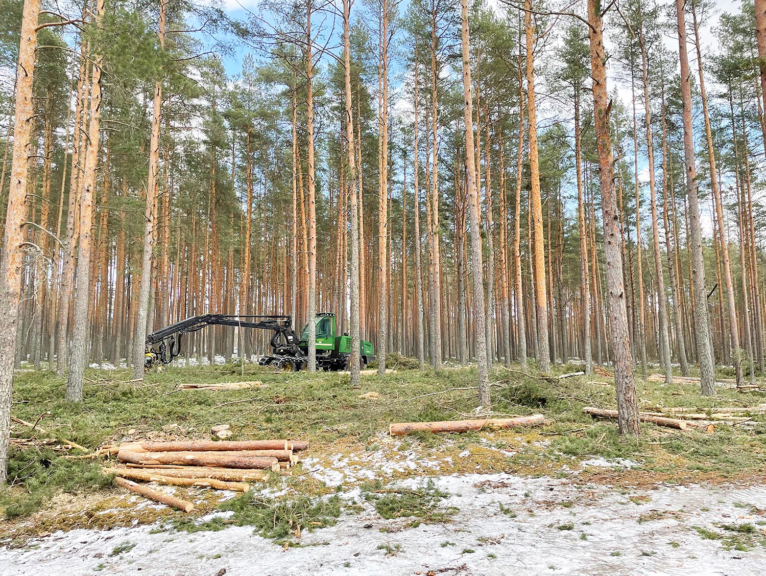 Võru linnakalmistul tehakse ettevalmistusi  800 uue matmiskoha rajamiseks FOTO: Kadi Annom