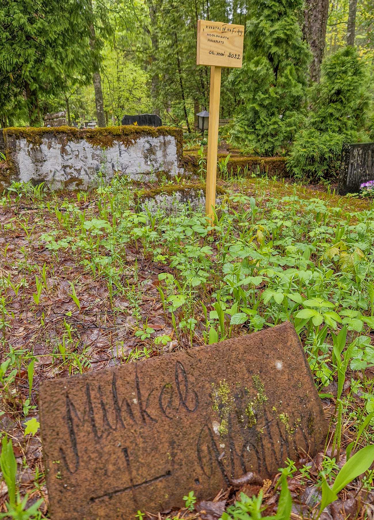 Vabadussõja mälestuse hoidja Elar Sarik ja Vabadussõja Ajaloo Seltsi aseesimees Ain Krillo möödunud nädalal Võru linnakalmistul. Fotol ollakse ühe hooletusse jäänud hauaplatsi juures ning arutatakse edasisi plaane. Hooldamata haud, mis plaanitakse teiste hulgas lähiajal korrastada, kuulub Vabadusristi kavalerile Villem Tambergile, kes sündis Harjumaal, kuid on pidanud Võrumaal maavalitsuses ehitus- ja betoonitööde juhataja ametit. Tamberg suri 1946. aastal Võrus. Mõnede hooldamata kalmude juurde on seatud sildid, mis lubavad pealematmist. Ei ole välistatud, et sageli kaob nii ka ajalugu, sest kalmistu kontoril puudub Krillo sõnul ülevaade 1918.–1920. aastani maetute osas FOTOD: Aigar Nagel