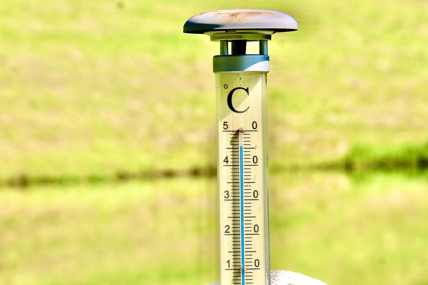 Haanimaal Hallimäe külas tõusis nädalavahetusel päikese käes õhutemperatuur poolesaja kraadi lähistele. Vilus näitas termomeeter 30–31 kraadi. Foto: KALEV ANNOM