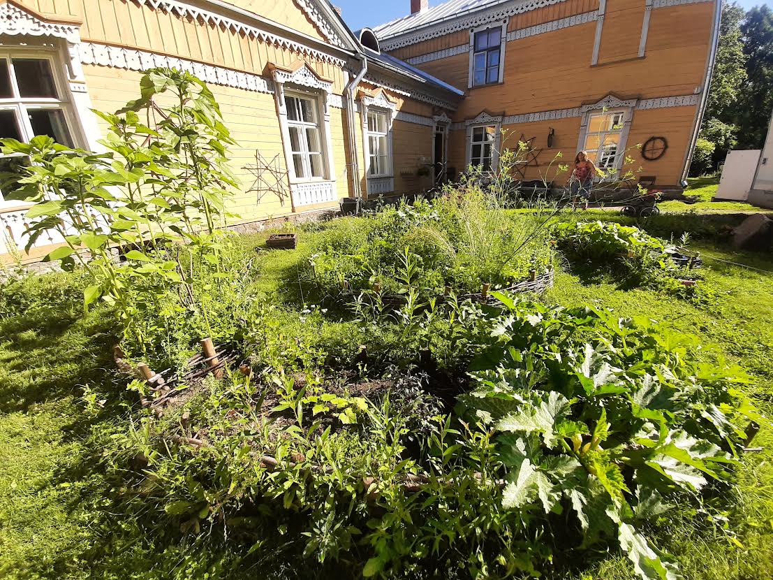 Sänna Leiutajate Külakooli kasvandikud rajasid täiendava varustuskindluse loomiseks eelmisel aastal väikese aiamaa. Fotod: ERAKOGU