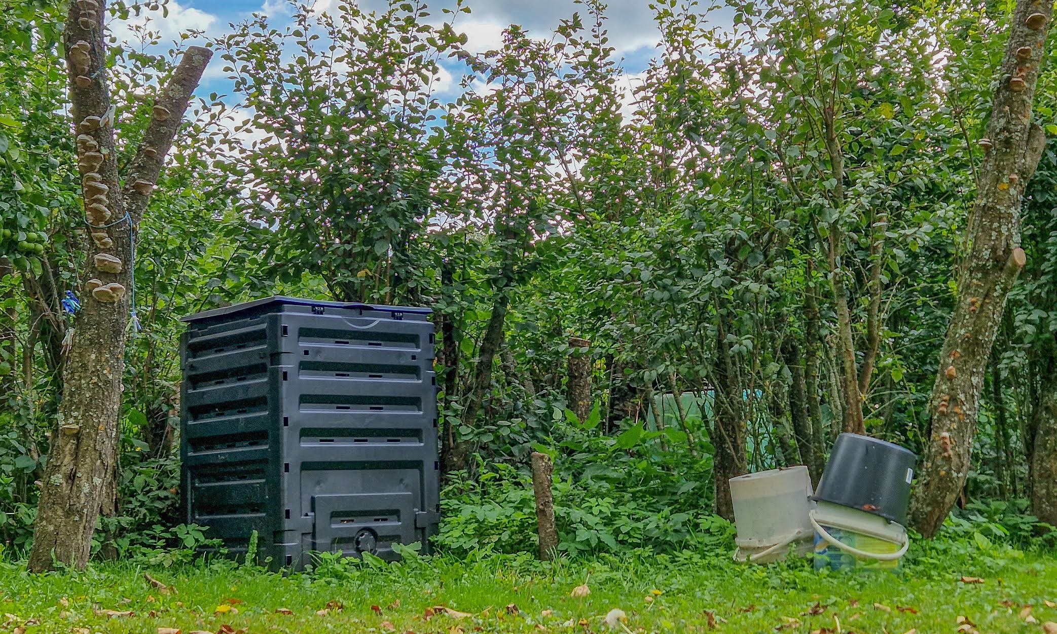 Võru linna elanikud saavad alates septembrist valida oma kinnistul kinnises kompostris kompostimise ja biojäätmete vedajale üleandmise vahel. Fotod: AIGAR NAGEL