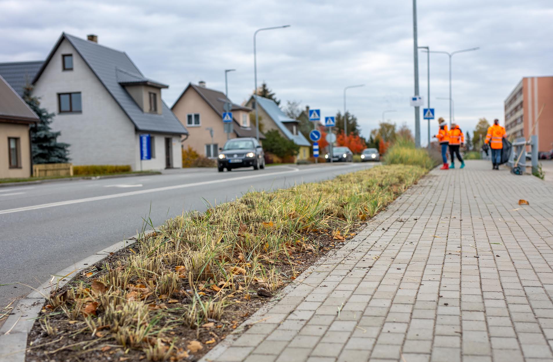 Eile hommikul avanes Vabaduse ja Vilja tänava ristmikul selline vaatepilt: kõrrelised maha lõigatud ja Vilja tänaval liikuvad sõidukid on juba kaugelt näha. Foto: AIGAR NAGEL