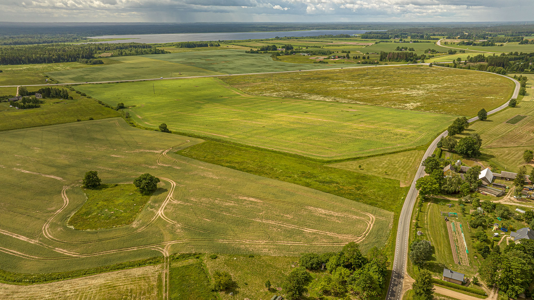 MTA jälgib hooajatööliste registreerimist FOTO: Aigar Nagel