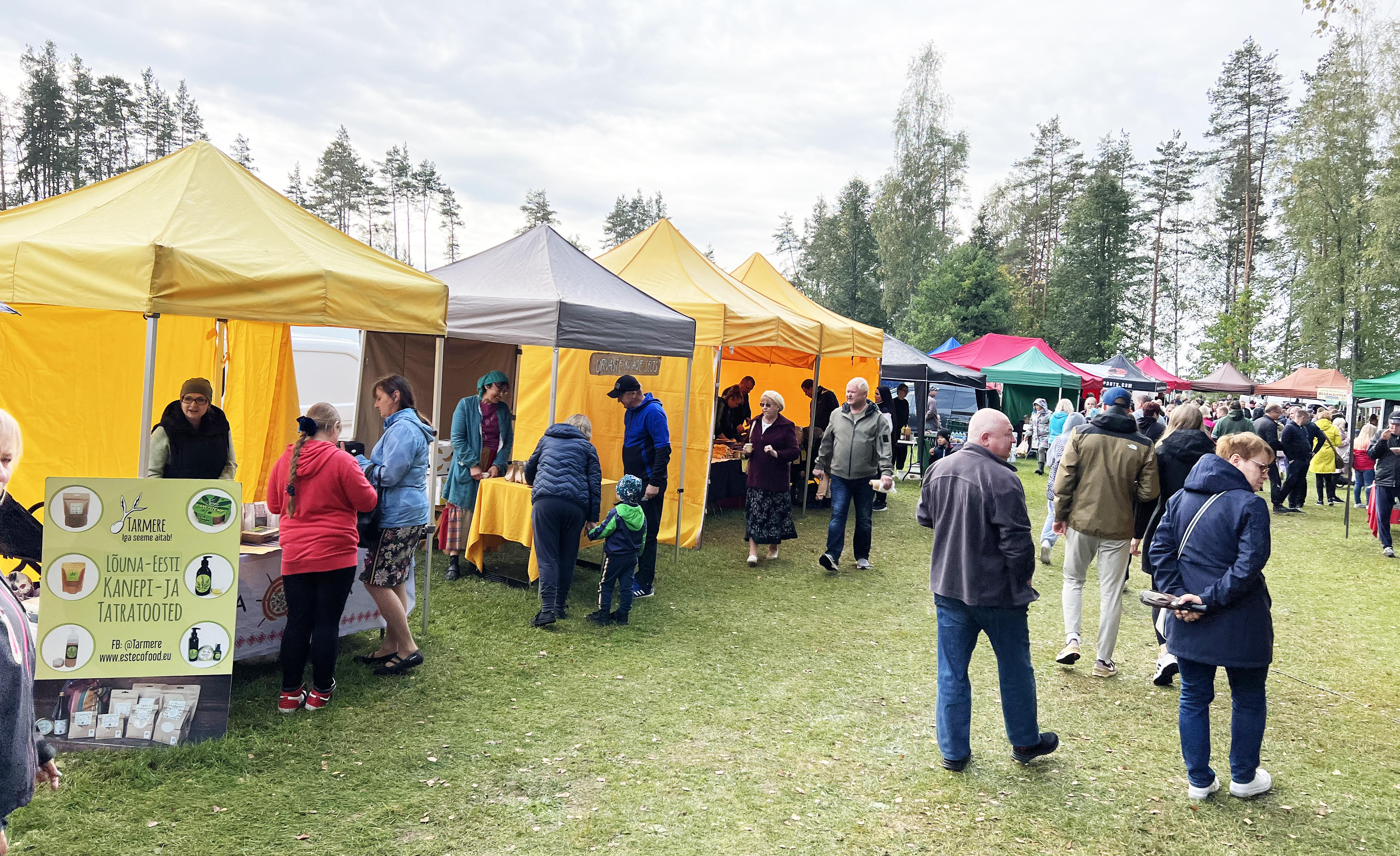 Sulbi mihklilaata külastas umbes 8000 inimest.