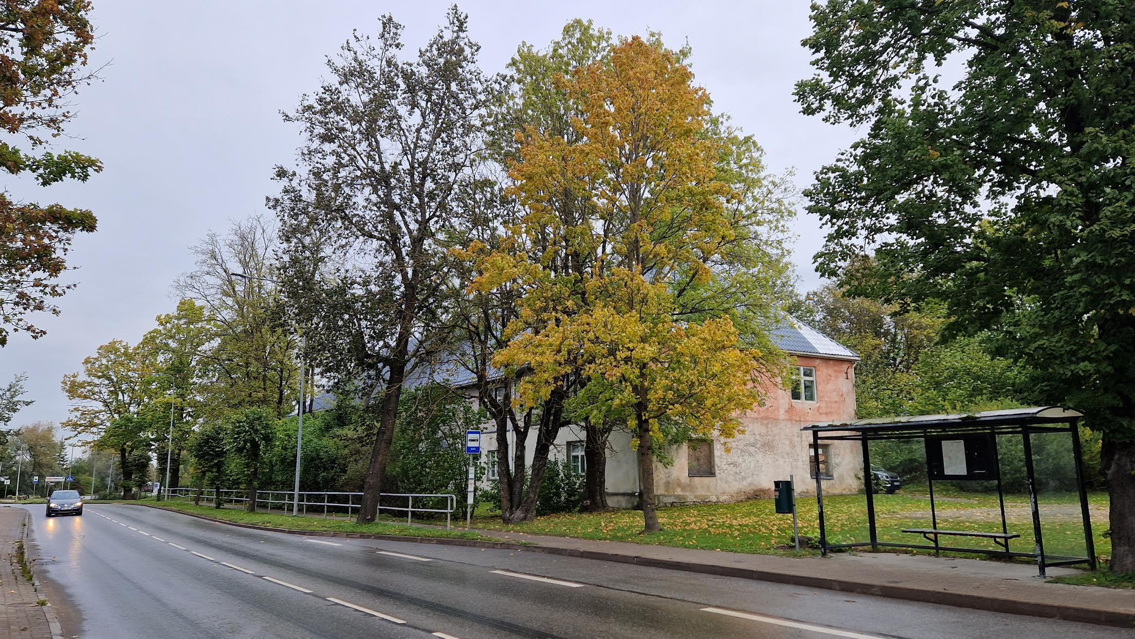 Võru linnavolikogu pani ajaloolise Võrusoo koolimaja müügi ajutiselt pausile. Uuesti esitatakse eelnõu volinikele kahe kuu pärast. Sama kaua on vanatehnikaklubil Vänt aega kaaluda kinnistu omandamist. Foto: AIGAR NAGEL