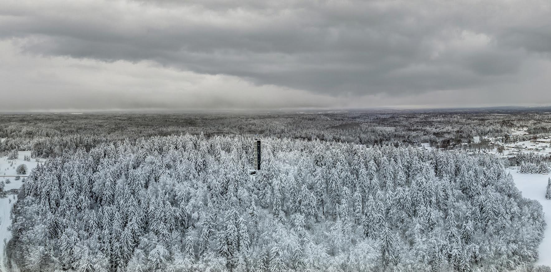 Metsanduse arengukava ragistab läbipääsmatus võsas FOTO: Aigar Nagel