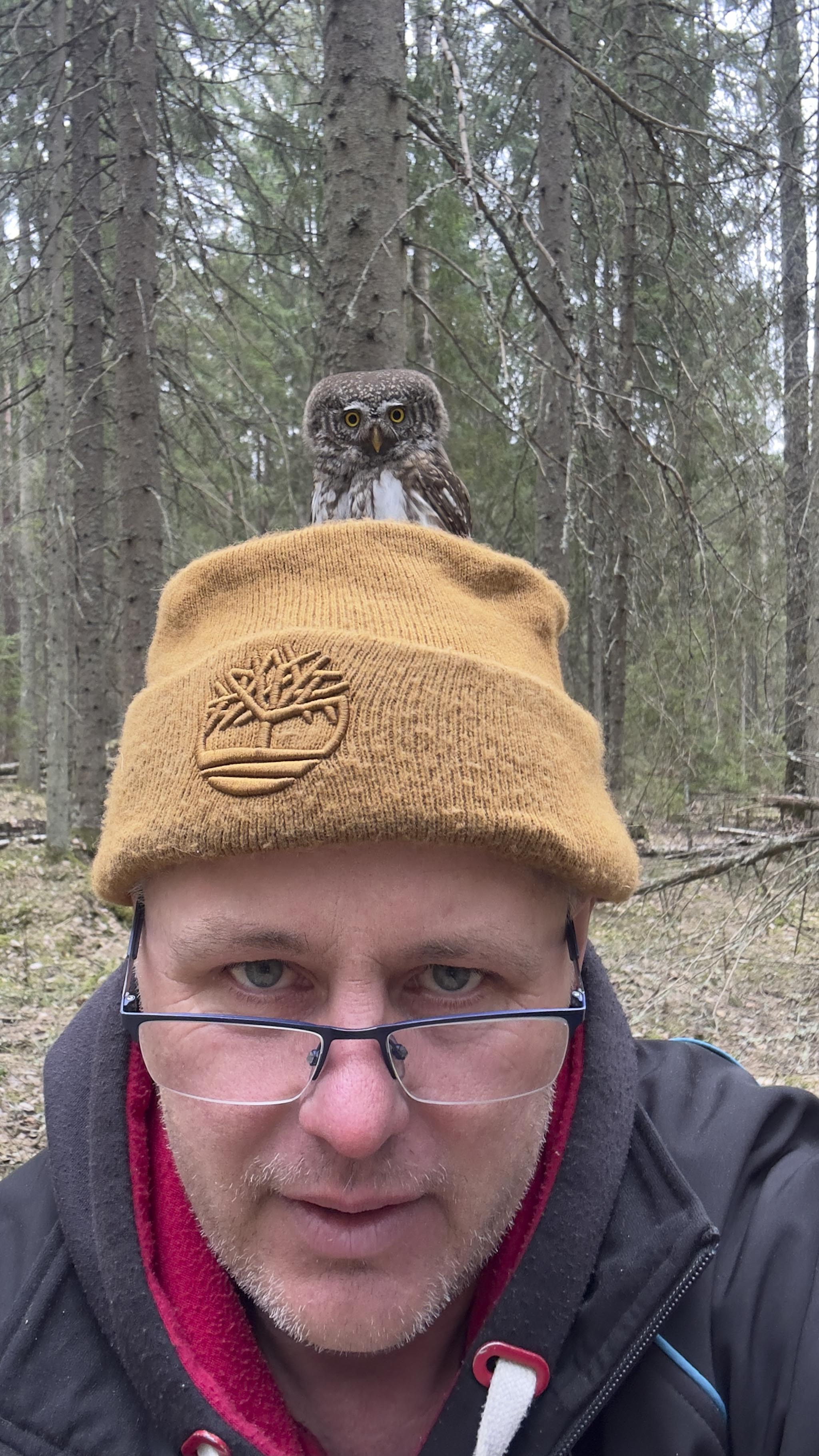 Antsla loodusfotograafi Janek Joabi kaamerasilm on jäädvustanud ohtralt imeilusaid Eestisse pesitsema tulevaid rändlinde. Fotod: JANEK JOAB