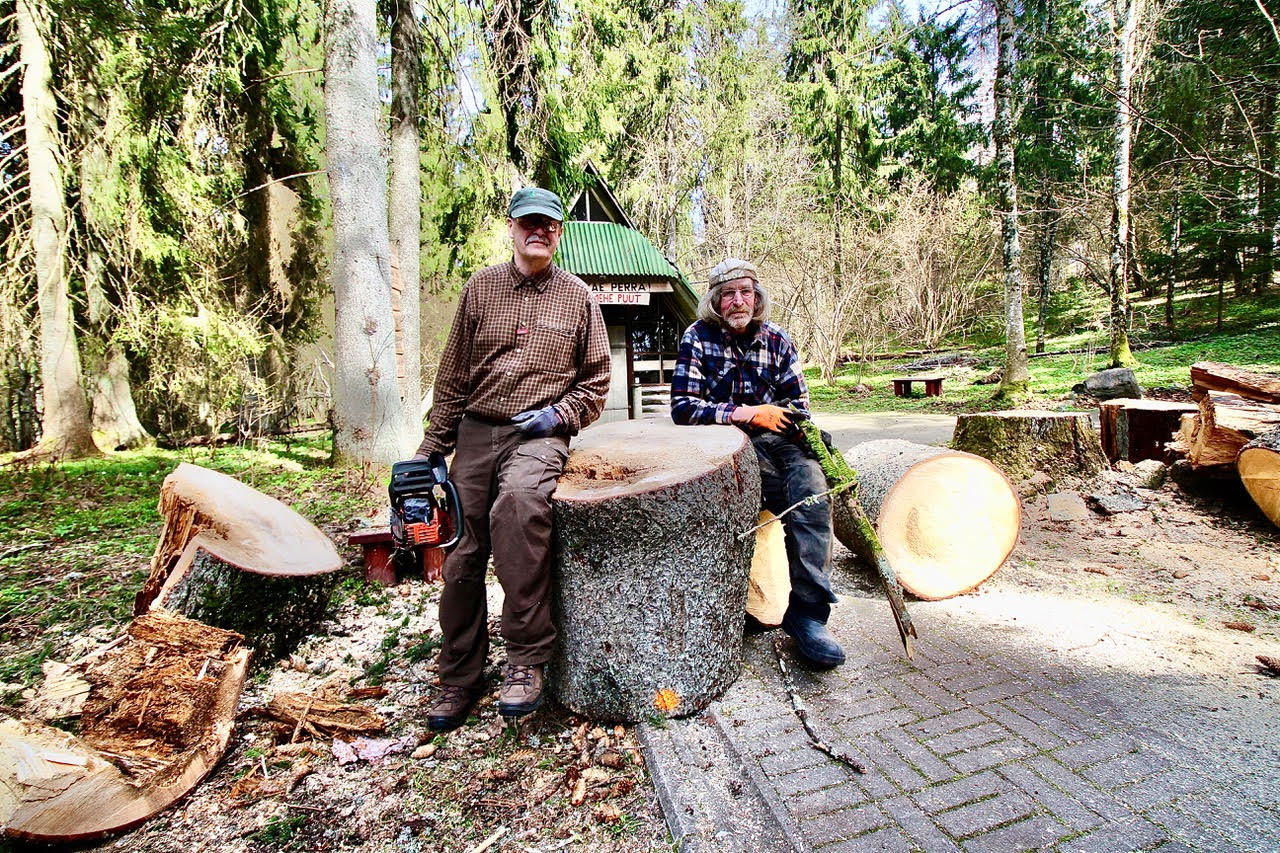 Metsaülem Agu Palo (vasakul) ja kunstnik-meister Olev Russ 21. aprillil vaatetorni teel korraks puhkepausi pidamas ja istumas umbes 150–160aastasel puupakul, mille läbimõõt ligemale üks meeter. FOTO: Kalev Annom