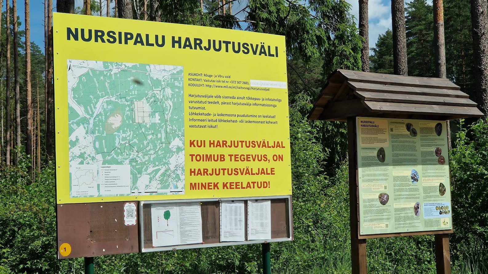 Torm murdis Nursipalu harjutusvälja laiendusel puid ligi 250 hektaril  FOTO: Aigar Nagel