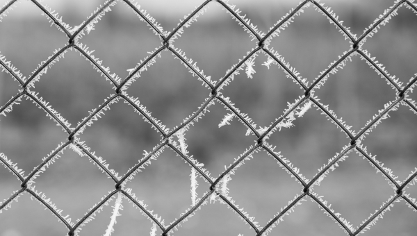 Lähipäevil on öösiti oodata miinuskraade