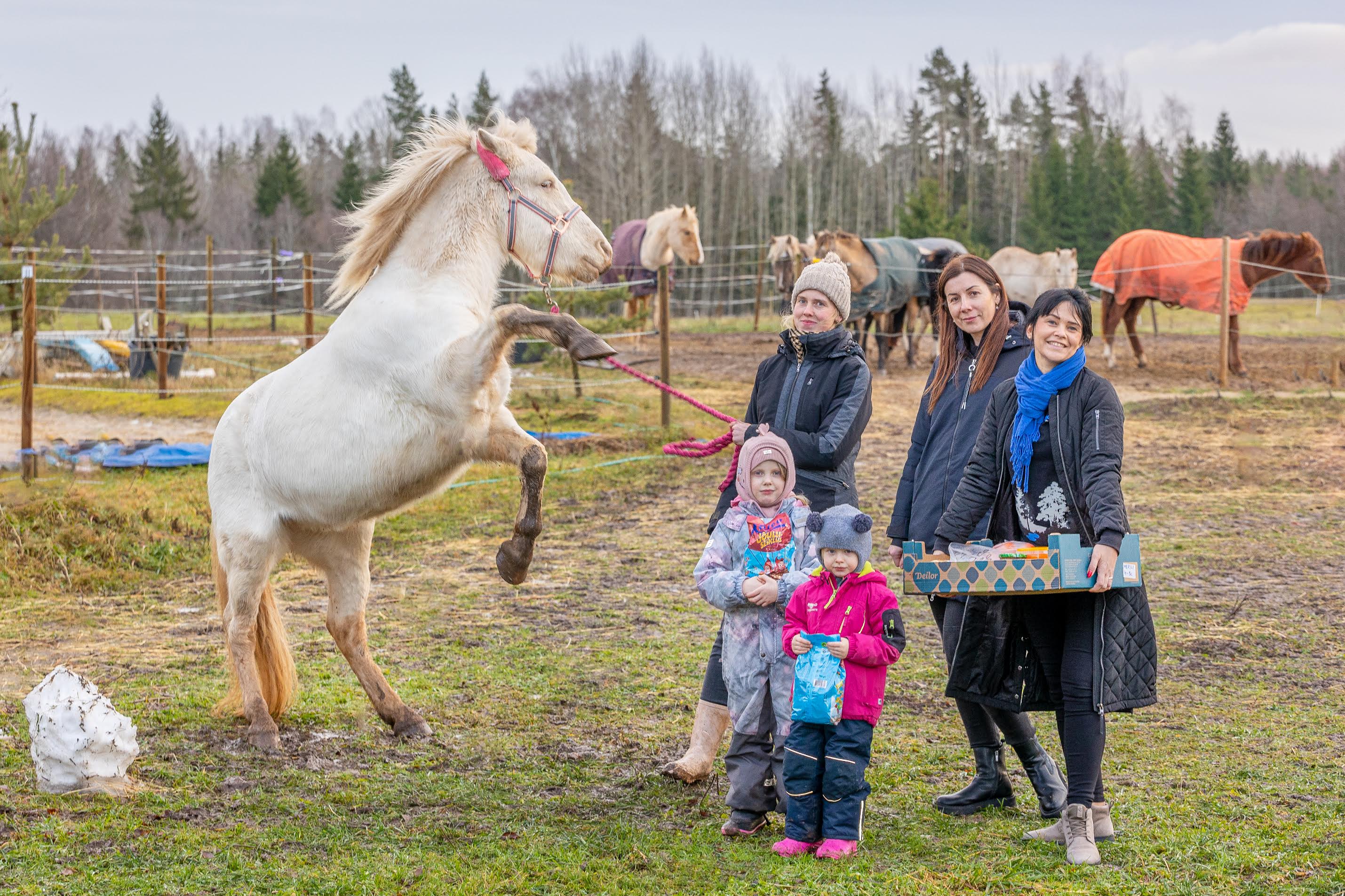 Üheksa-aastane hobune Alaska, Merili Kuuse, Kaili Hallap ja Helin Semm. Ees Leenu ja Midli Bendi. Foto: Aigar Nagel