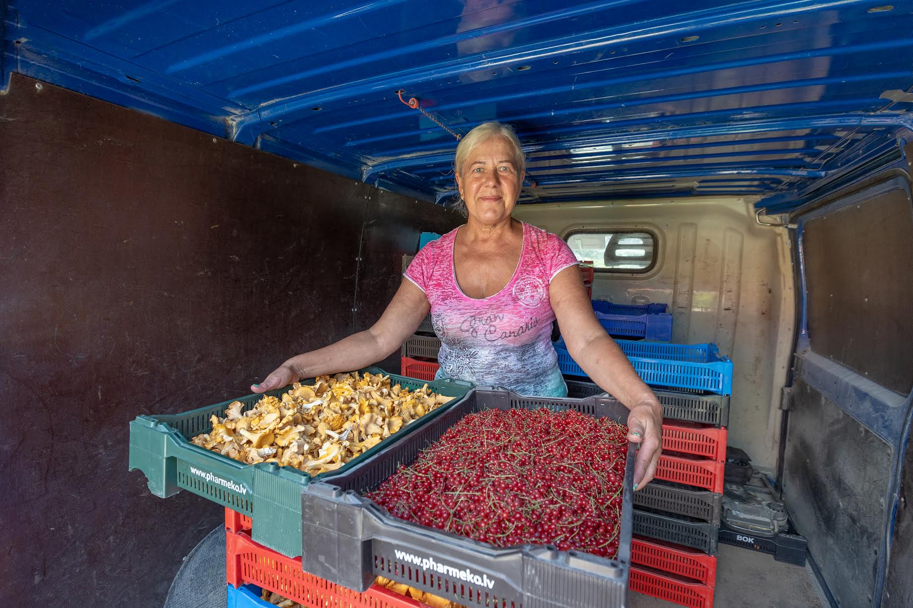 Põuasest ilmast hoolimata toimetab staažikas marja- ja seenekokkuostja Anu Palover selgi suvel. Foto: AIGAR NAGEL