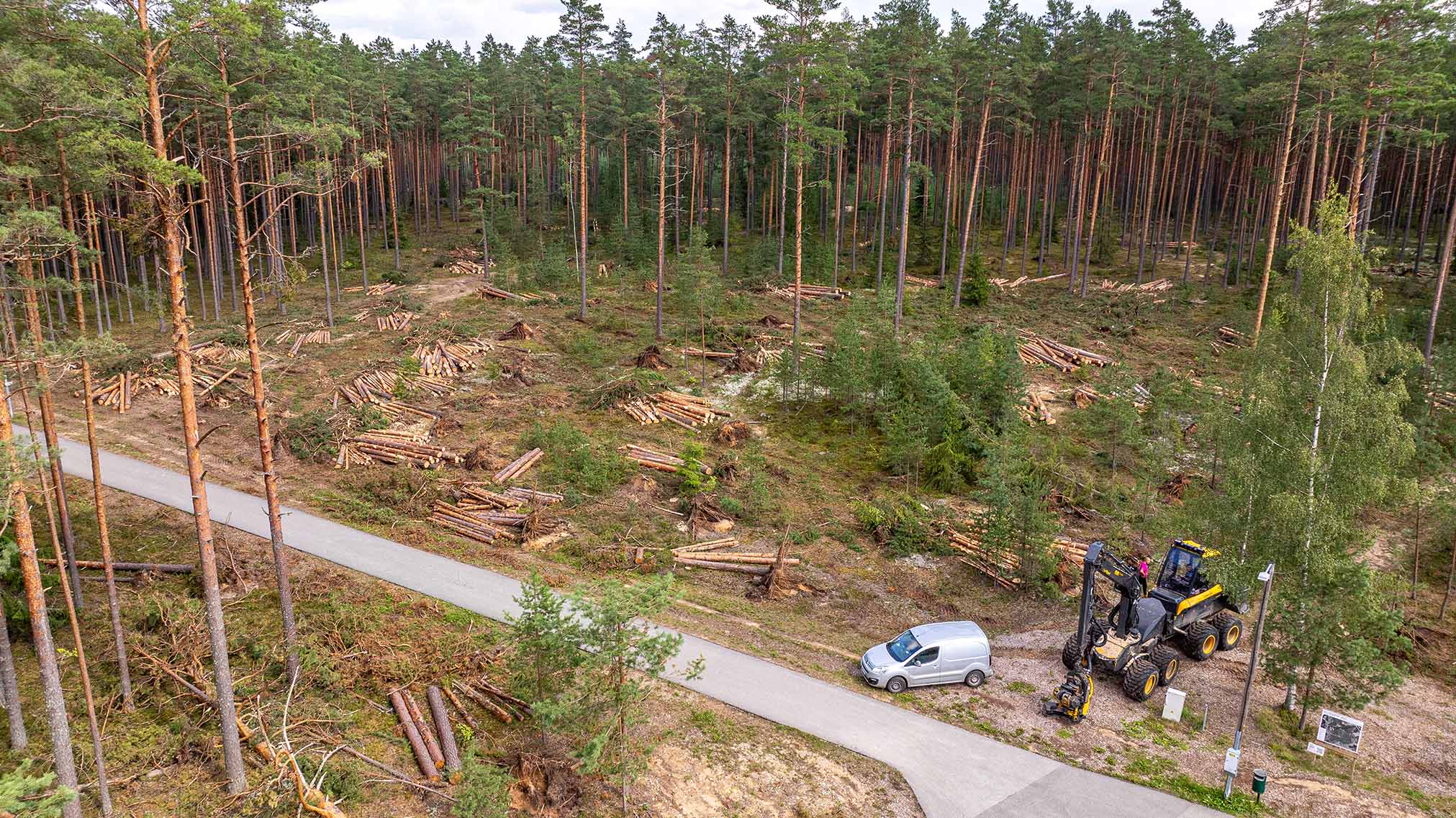 1. juuli äikesetormi tagajärgi likvideeritakse Kubja terviseradade ümbruses siiani. Osalt on tööd edasi lükkunud seetõttu, et piirkonda jääb muinsuskaitsealuste Meegomäe kääbaste ala, millel haldamine vajab kooskõlastust muinsuskaitseametiga. FOTOD: Aigar Nagel