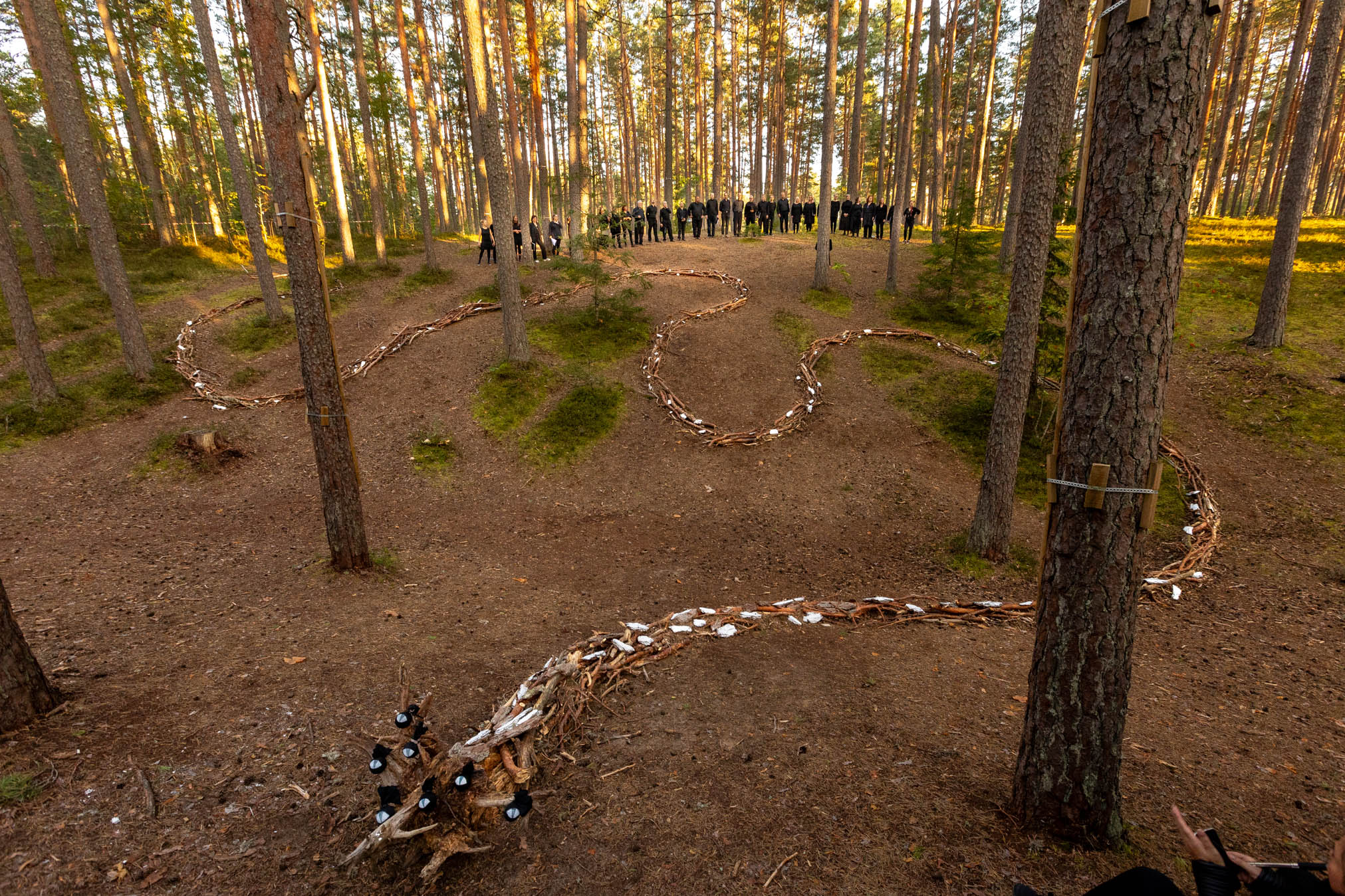 Paganlik PärimusÖÖ muutis Kubija metsaaluse muinasjutumaaks FOTO: Aigar Nagel