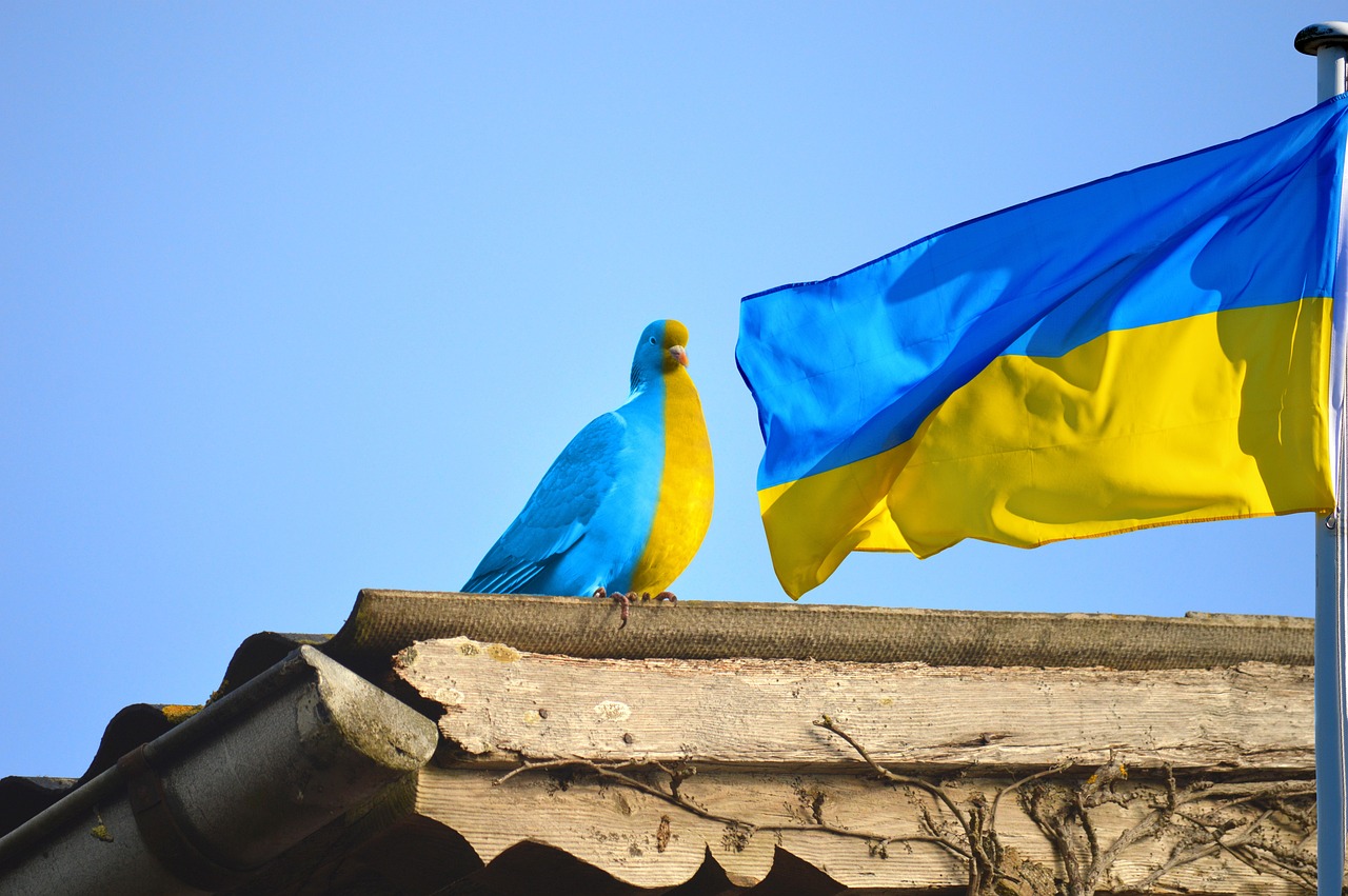 Eesti eesmärk: Ukrainat saab üles ehitada juba ka sõja ajal FOTO: pixabay