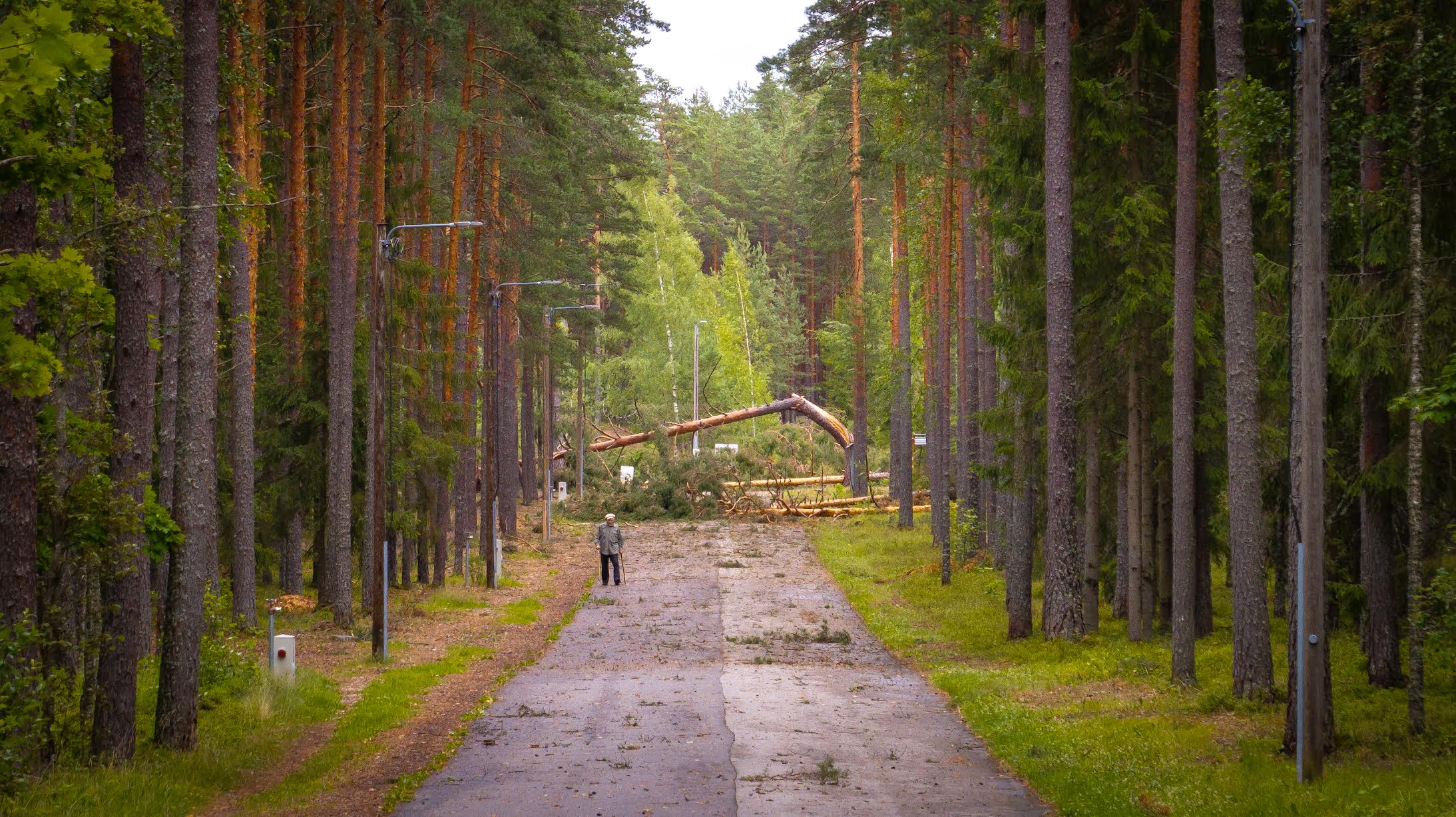 1. juulil laastas Võrumaad äikesetorm, mille üheks suureks ohvriks oli Kubja terviseraja ümbruse mets. Möödunud kolmapäeval puhastati kiirkorras asfaldiga kaetud rollerirada ja see on kasutajatele avatud. Metsaradade korrastustöödega läheb veel veidi aega. FOTO: Aigar Nagel