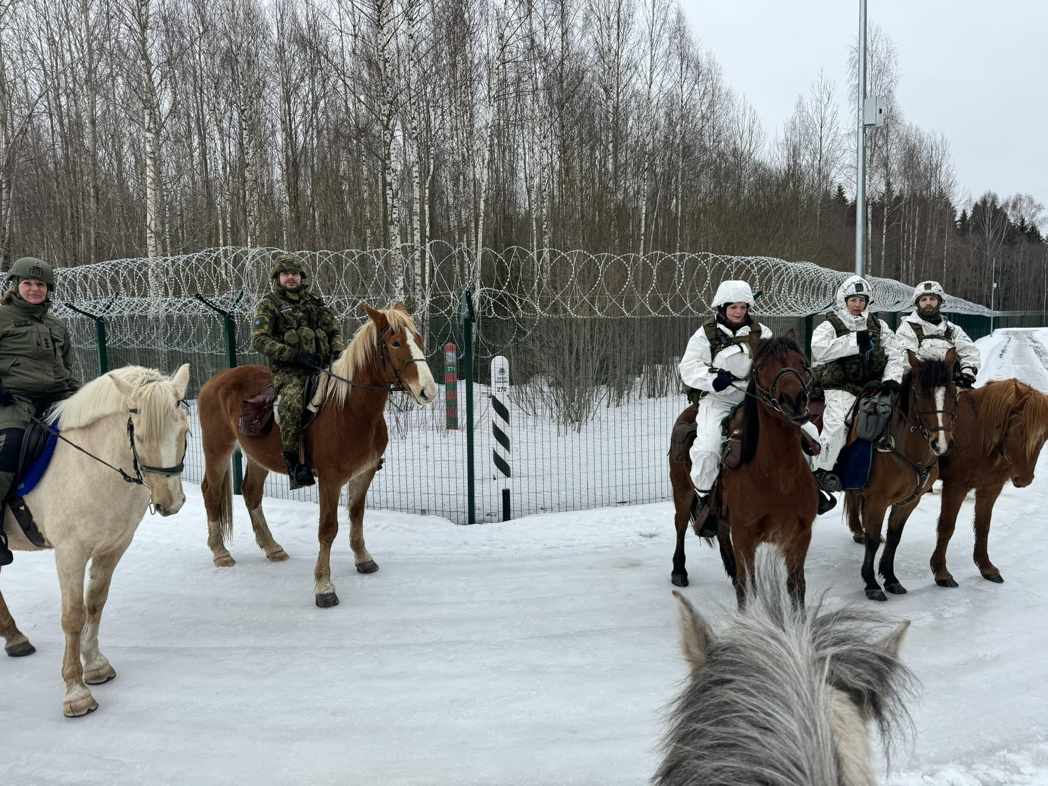 Vabariigi aastapäeva eel patrullisid Piusa kordoni teenistuspiirkonnas ratsaüksused