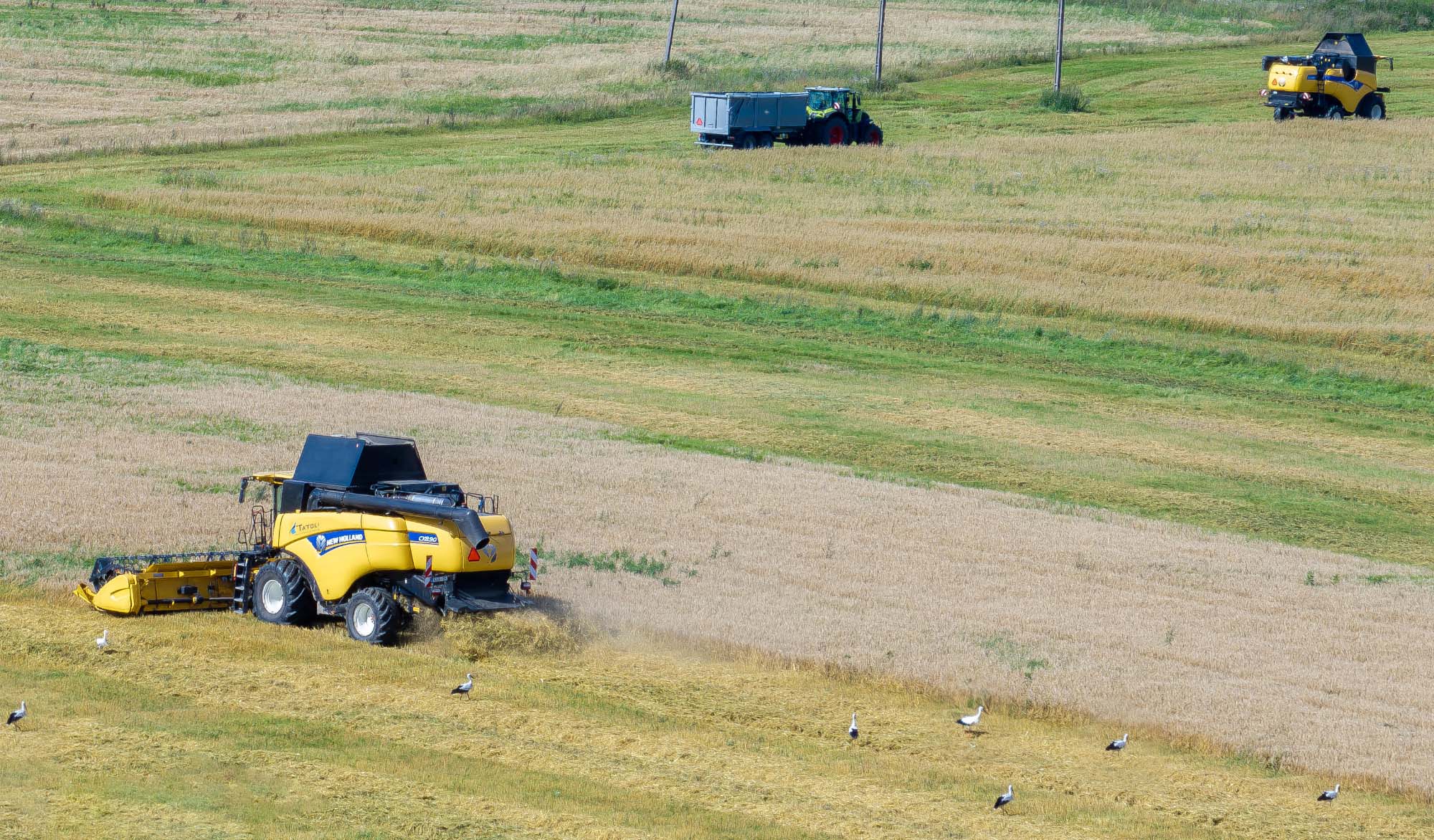 Kuigi autoaknast võib möödujale tunduda, et põllud on saagirohked ja ilusad, siis on talupidajate sõnul välimus pigem petlik. Foto: Aigar Nagel