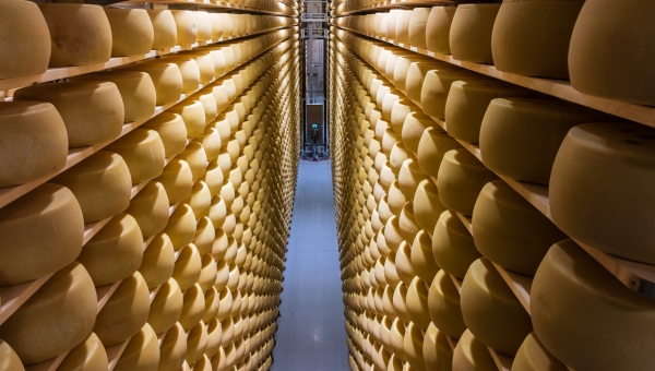 Võrus valmis Valio ladu 110 000 kera kõvajuustu küpsetamiseks