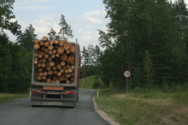 Foto: Võrumaa Teataja