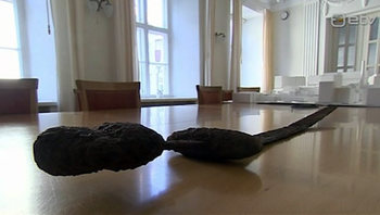 FOTO: http://uudised.err.ee/v/eesti/710aa0de-6977-4ad0-bf1f-554275052b1e/luhamaa-tolliametnikud-leidsid-veokist-1000-aastase-mooga
