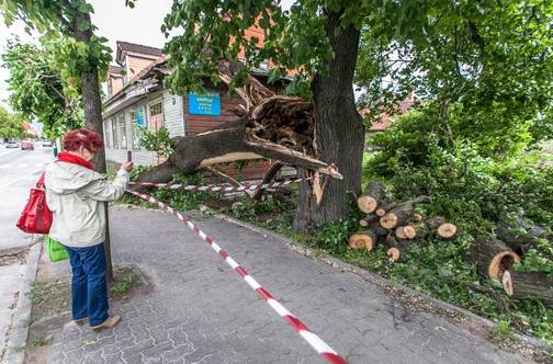 Võrus Jüri tänaval sai kannatada puu alla jäänud maja.FOTO: Andrei Javnašan Võrumaa Teataja