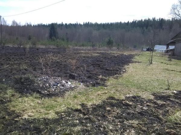 8. mail kella 12.50 ajal teatati, et Misso vallas Kaubi külas põleb kulu ning põleng levib metsa alla. 