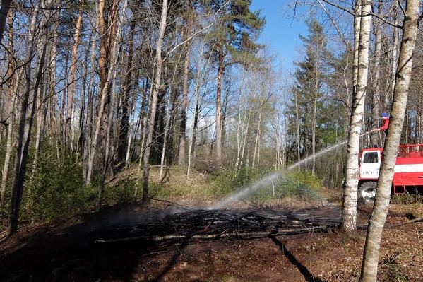 Kella 15.14 ajal süttis Orava vallas Päka külas tuleohutusnõuetele mittevastavast lõkkest metsaalune kulu, mille päästjad kustutasid.