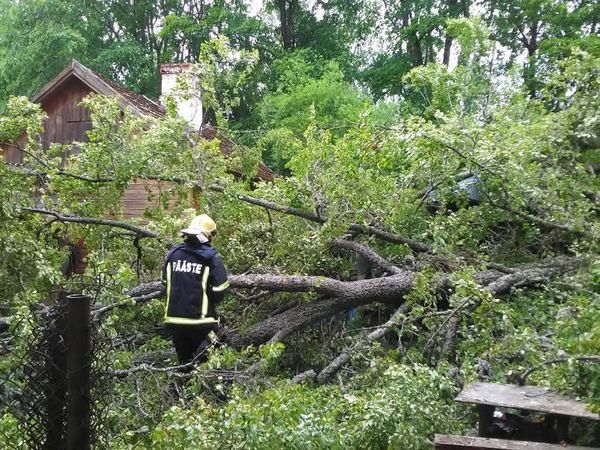 29. juunil kell 17.48 teatati, et Taheva vallas Koikküla külas murdus tuule toel maja hoovis suur pärnapuu, kukkus kaevule, purustas kuuri katuse ning sulges käiguteed.
